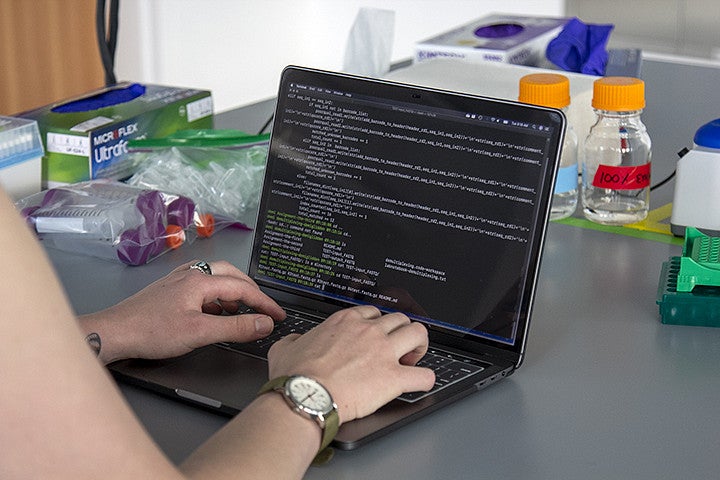 A person typing on a laptop