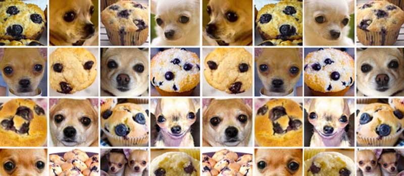 Muffin vs. dog example