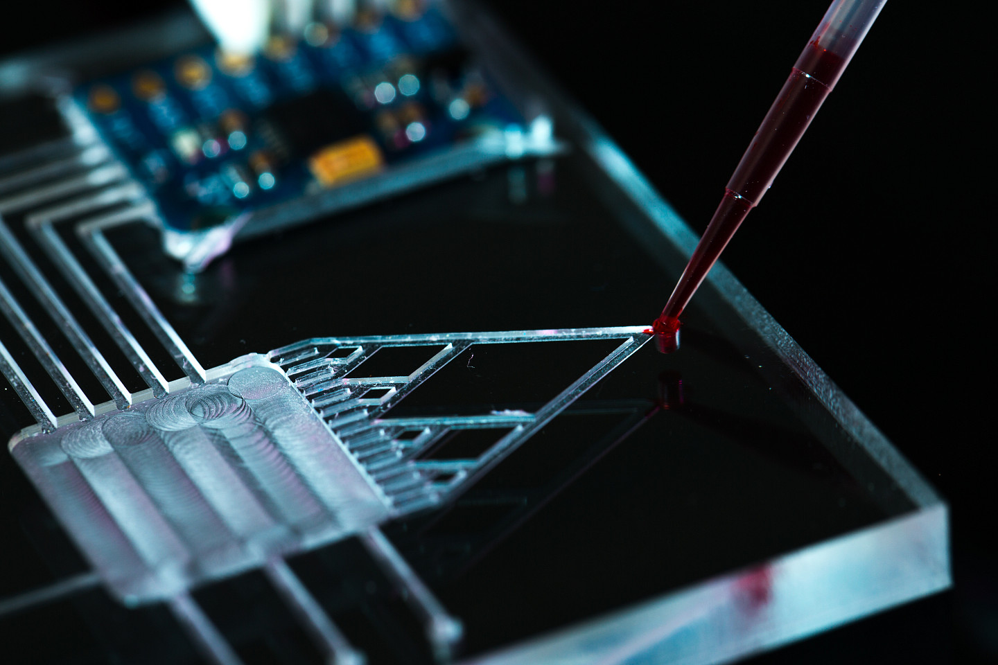 Microfluidic chip sensor